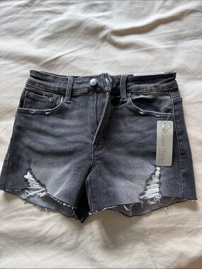 Lizard Thicket Washed Black Distressed Denim Shorts